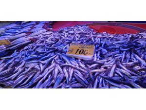 Ramazan ayının gelişi balık satışlarını arttırdı