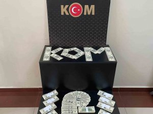 Aydın’da 100 bin sahte dolar ele geçirildi