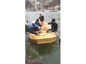 Baraj sularının her yeri kapladığı ilçede mahsur kalan sokak hayvanları bot yardımıyla kurtarıldı