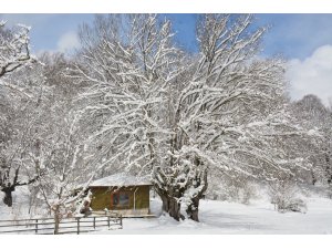 Göktepe Yaylasındaki kar manzaraları görenleri mest ediyor