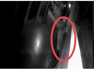 Kedi gibi duvara tırmanan hırsız, güvenlik kameralarından kaçamadı