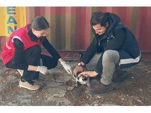 Polis kurtardı, Kızılay sahiplendi, adı ’Afet’ oldu