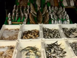 Marmara'da balık türleri azalıyor