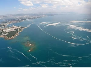 Marmara Denizi'nde 2 yıl önce ortaya çıkmıştı: Felaket kremsi yapısıyla geri döndü