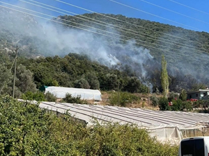Antalya'nın Kaş ilçesinde makilik alanda yangın çıktı