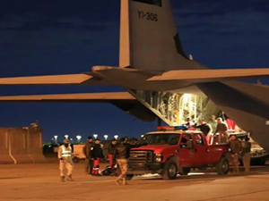 Irak yolcu uçağının kargo bölümünde taşınan bir ayı kafesinden çıktı