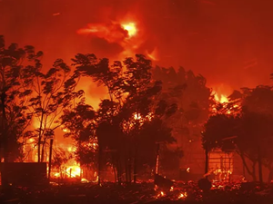 Yunanistan'da orman yangını: 18 ceset bulundu