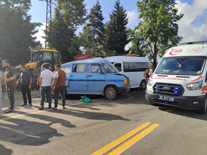 Ordu'da iki minibüsün çarpışması sonucu 20 kişi yaralandı
