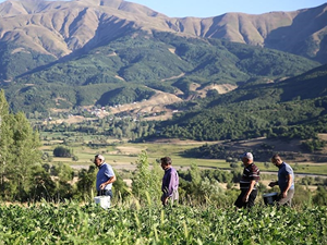 Çerkezler terör nedeniyle terk ettikleri köylerine dönüyor