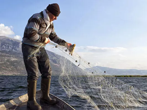 Karadenizli balıkçılar bu yıl da bereketli bir sezon bekliyor