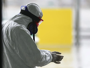 Yunanistan, tahtakurusu tehdidi altında