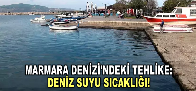 Marmara Denizi'ndeki tehlike: Deniz suyu sıcaklığı!