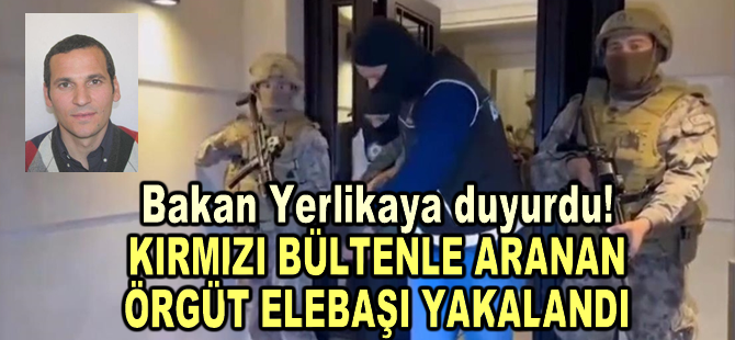 "Kompanio Bello" uyuşturucu örgütünün elebaşı Rexhepi, İstanbul'daki "Kartel Operasyonu"nda yakalandı