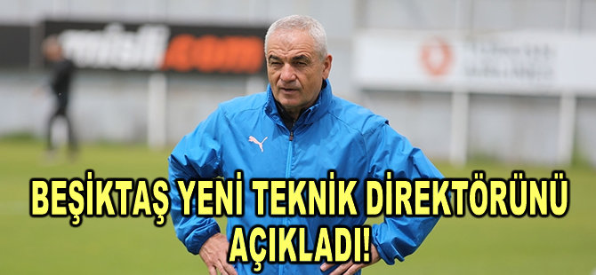 Beşiktaş'ta teknik direktörlük görevine Rıza Çalımbay getirildi