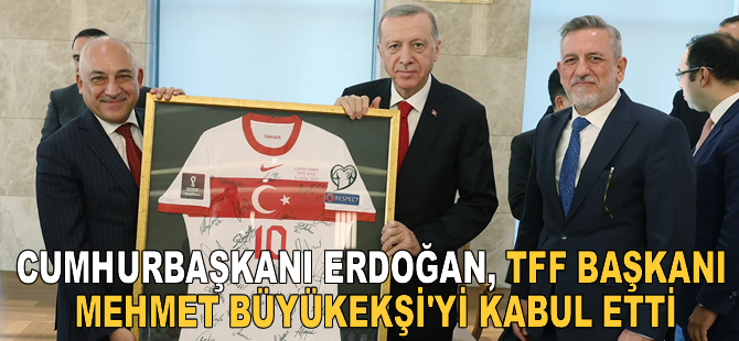 Cumhurbaşkanı Erdoğan, TFF Başkanı Mehmet Büyükekşi'yi kabul etti