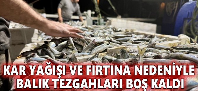 Kar yağışı ve fırtına nedeniyle balık tezgahları boş kaldı