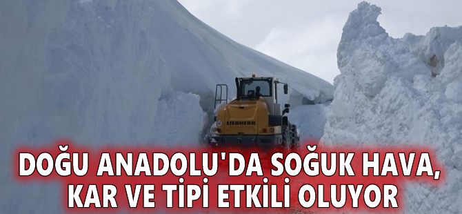 Doğu Anadolu'da soğuk hava, kar ve tipi etkili oluyor