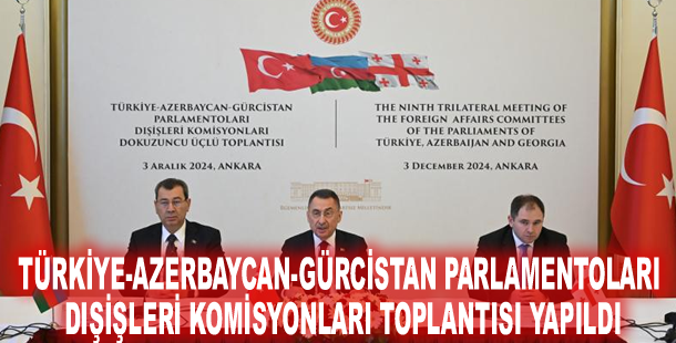 Türkiye-Azerbaycan-Gürcistan Parlamentoları Dışişleri Komisyonları Toplantısı yapıldı
