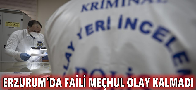 Erzurum'da faili meçhul olay kalmadı