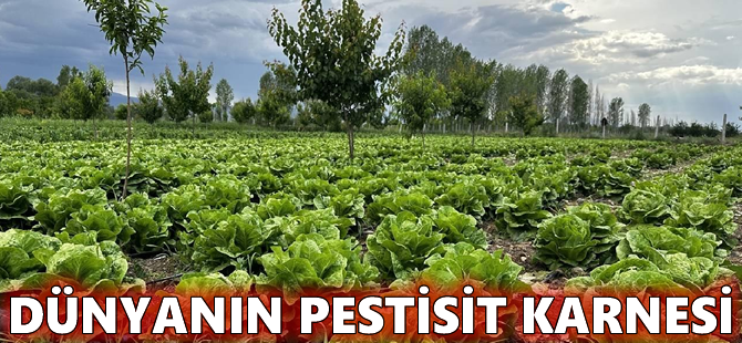 Dünyanın pestisit karnesi