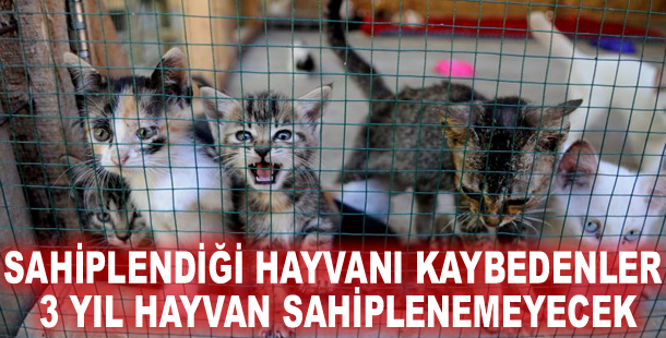 Sahiplendiği hayvanı kaybedenler 3 yıl hayvan sahiplenemeyecek