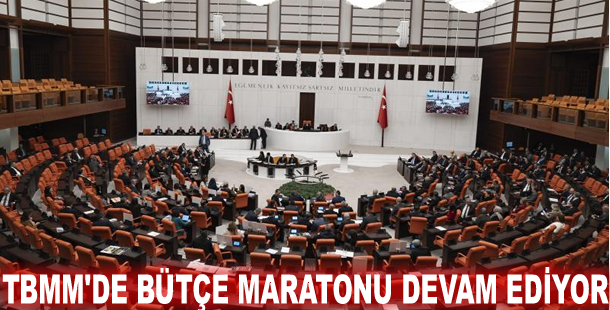 TBMM'de bütçe maratonu devam ediyor