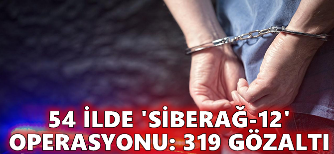 54 ilde 'Siberağ-12' operasyonu: 319 gözaltı