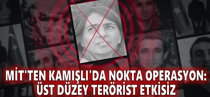 MİT'ten Kamışlı'da nokta operasyon: Üst düzey terörist etkisiz