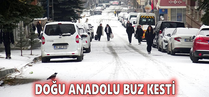 Doğu Anadolu buz kesti