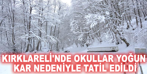 Kırklareli'nde okullar yoğun kar nedeniyle tatil edildi