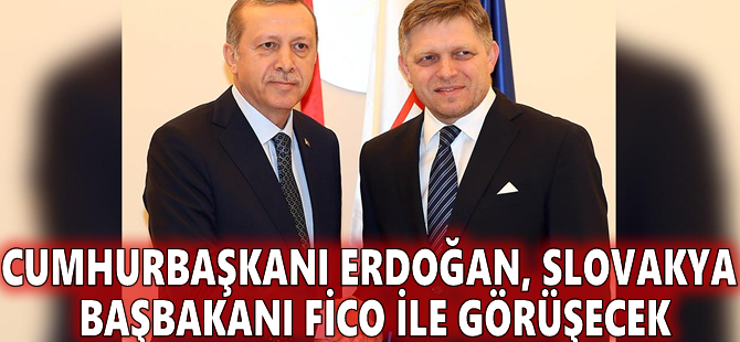 Cumhurbaşkanı Erdoğan, Slovakya Başbakanı Fico ile görüşecek