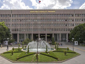 Hayvanseverlerden toplanan 18 milyon lirayı şahsi hesaplarına aktarmışlar