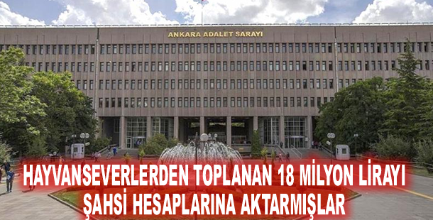 Hayvanseverlerden toplanan 18 milyon lirayı şahsi hesaplarına aktarmışlar