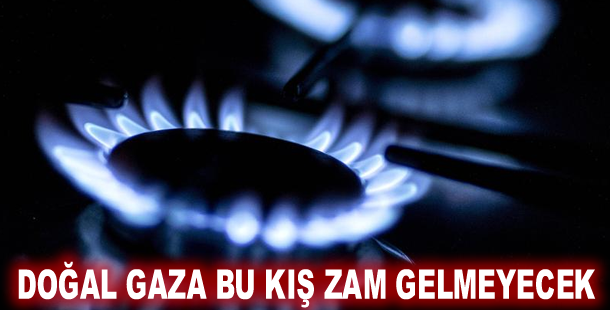 Doğal gaza bu kış zam gelmeyecek
