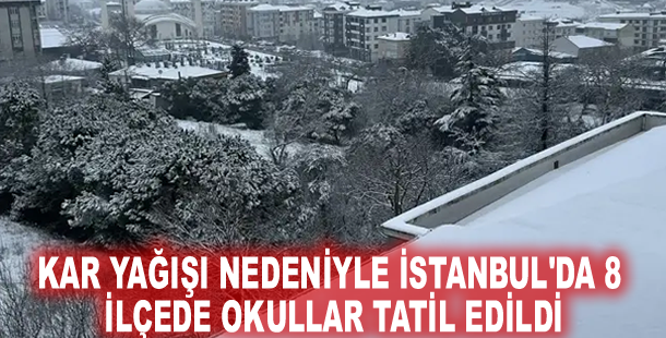 Kar yağışı nedeniyle İstanbul'da 8 ilçede okullar tatil edildi