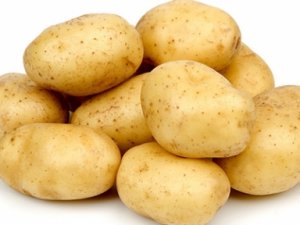 Patateste rekolte artışı bekleniyor