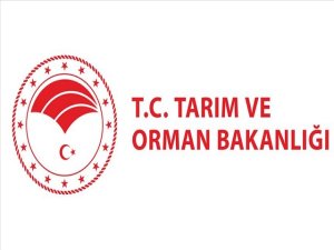 Tarım ve Orman Bakanlığı duyurdu: 8 bin 500!