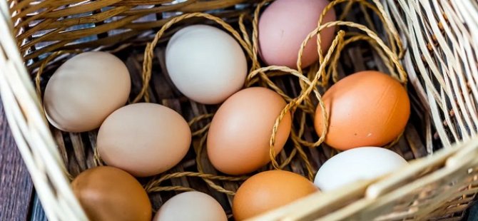 Sofralık yumurta ihracatında 50 Cent!