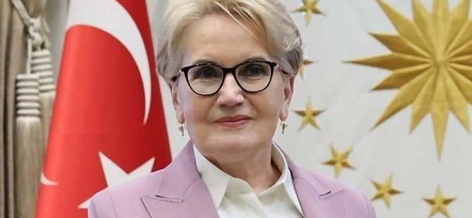 Meral Akşener'den ‘Türkeş’ paylaşımı!