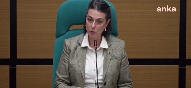 Sinem Dedetaş, Melih Gökçek'e sert çıktı!