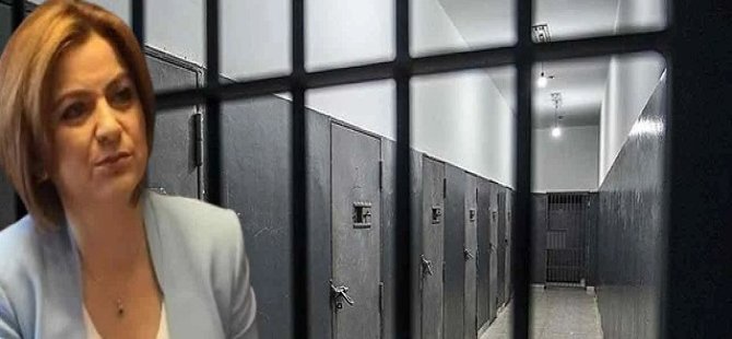 DEM Partisi bastırıyor: Fiziki özgürlük