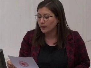 TBMM'de Kürtçe "Allah belanızı versin" krizi!