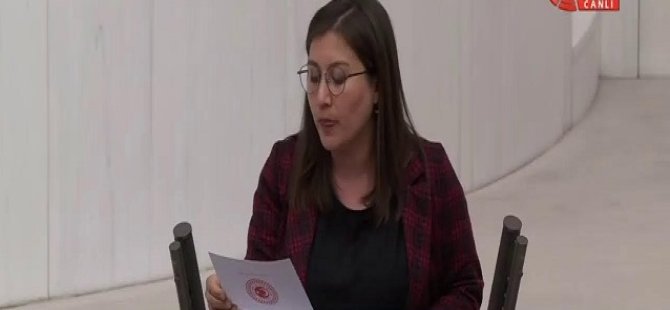 TBMM'de Kürtçe "Allah belanızı versin" krizi!