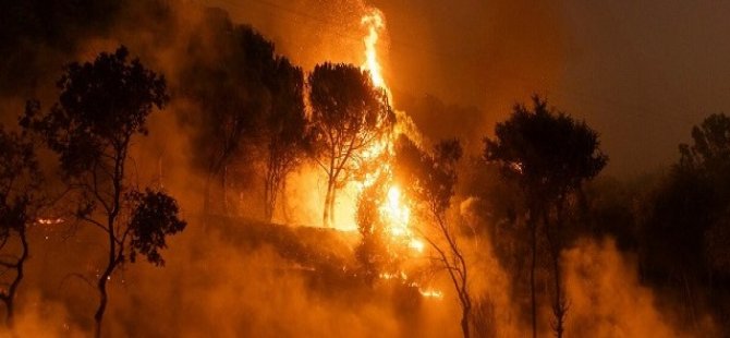 Osmaniye yangını: 1 işçi vefat etti
