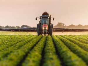 Boş tarlası olanlar dikkat: Devlet kiraya verecek!