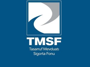 TMSF, Ekotürk'e el koydu!