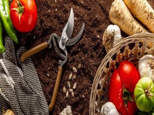 ABD'de alarm: Radyoaktif gıda!