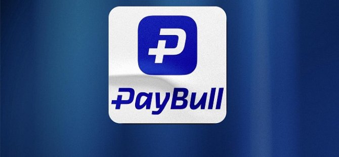 Paybull'a el konuldu: 25 gözaltı!