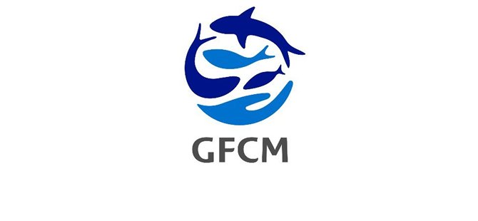 Türkiye’ye yeni görev: ‘GFCM’ Başkanlığı!