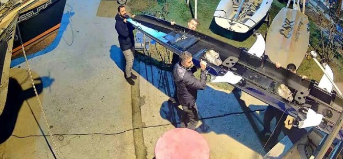 Derince’de kaçak deniz küreği operasyonu